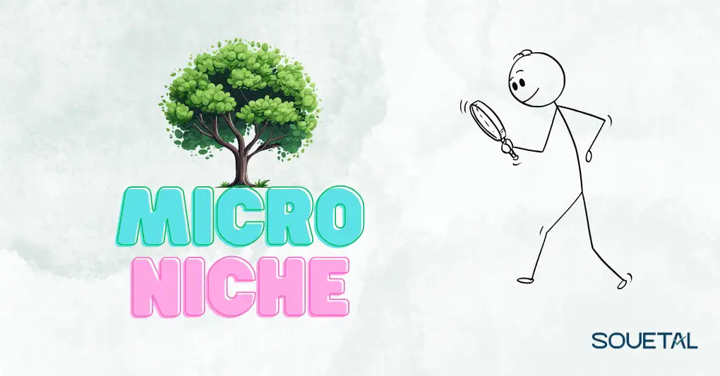What is a Micro Niche? Importance and Benefits